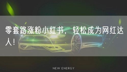 零套路涨粉小红书，轻松成为网红达人！