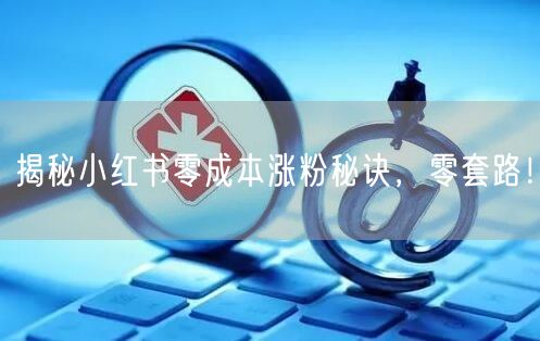 揭秘小红书零成本涨粉秘诀，零套路！