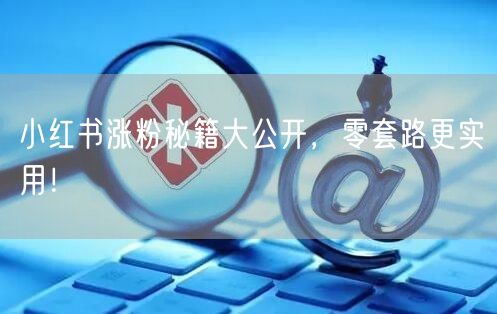 小红书涨粉秘籍大公开，零套路更实用！