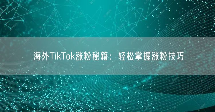 海外TikTok涨粉秘籍：轻松掌握涨粉技