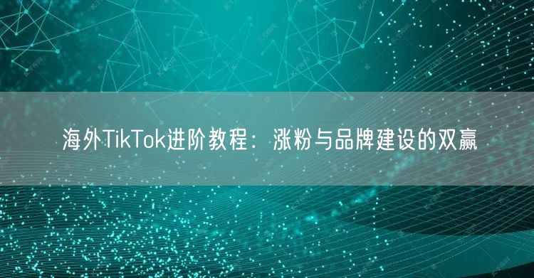 海外TikTok进阶教程：涨粉与品牌建设